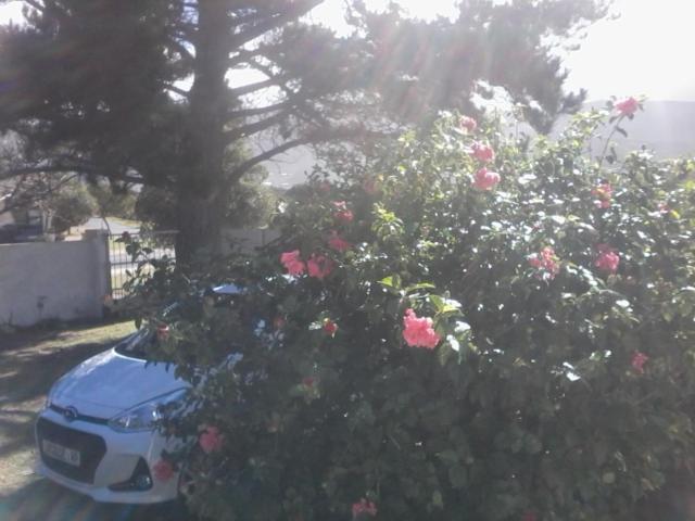 Self Catering Unit 7, Sandbaai *